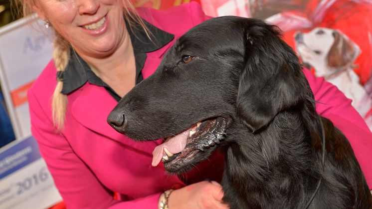 Simply Magic blev Best in Show