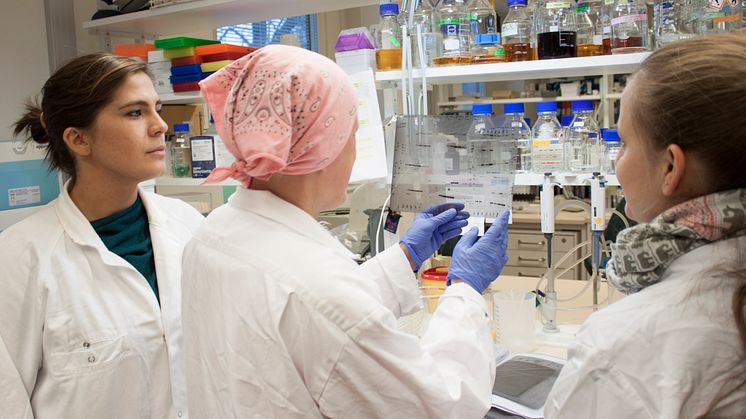 Research Group Department of Molecular Biology_pict 2_MG_0933