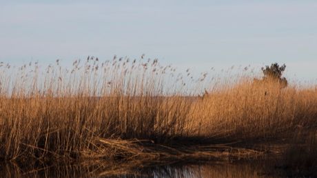 Studie för att säkra Gotlands vattenbehov