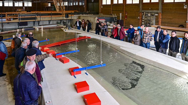 Versuchsaufbau der Donau in Obernach: Viele Donauwörtherinnen und Donauwörther nutzten die Gelegenheit, live beim Testlauf dabei zu sein. (Foto: LEW / Thorsten Franzisi)