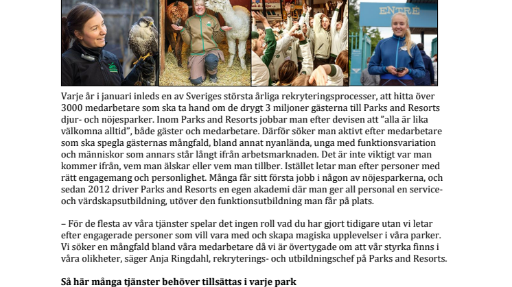 Nu ska över 3000 tjänster tillsättas inom Parks and Resorts