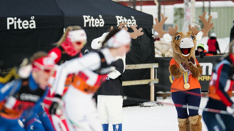 Arenor och dagsprogram är klart för idrotterna under SM-veckan i Piteå. Foto: Ulf Gustafsson