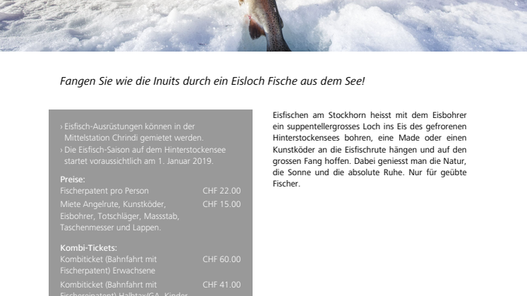 Angebot Eisfischen am Stockhorn