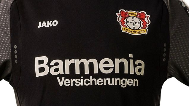 „Fast alle Leistungssportler kennen und nutzen Osteopathie“ / Interview mit Jens Joppich, Osteopath beim Fußball-Bundesligisten Bayer Leverkusen und der deutschen Nationalmannschaft