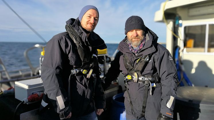 Saneringen av miljöfarliga vrak inleds: Nu töms fiskefartyget Thetis på olja