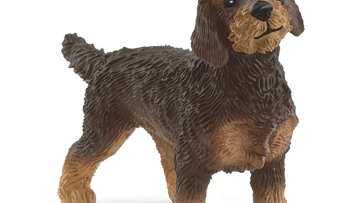 13972_Farm World_Wire-Haired Dachshund (c)Schleich