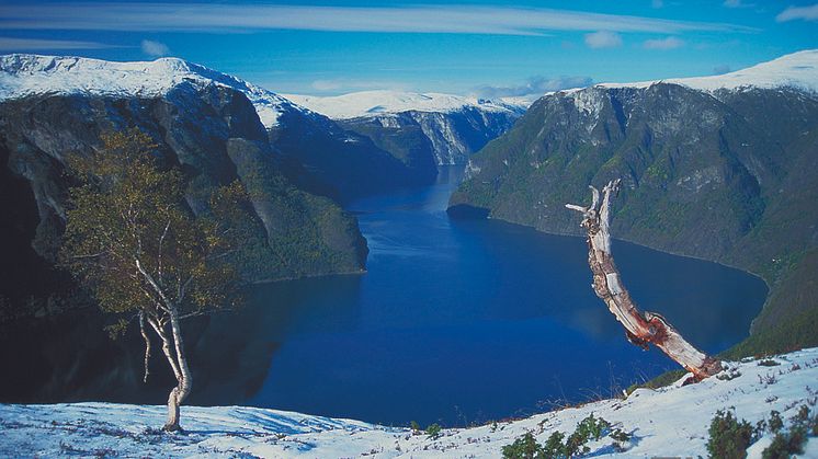 ​Løftar fjordproduktet til nytt nivå