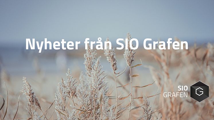 Senaste nytt från SIO Grafen