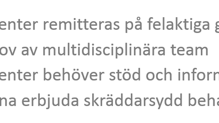 Självständig trots multipel skleros – då behövs utbildningsinsatser 