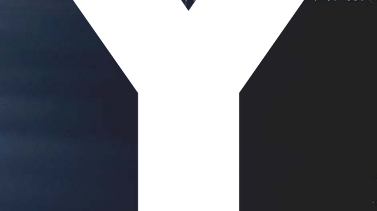 YSL BEAUTY_Y NEW ambassador/Lenny Kravitz- press release in english