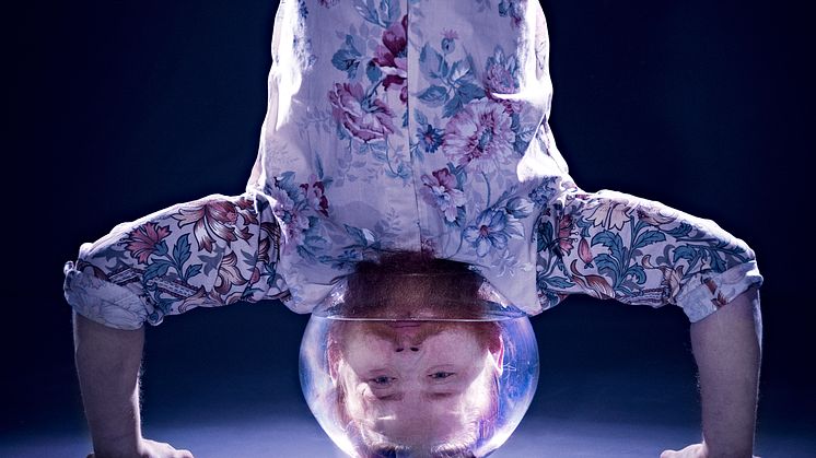 Cirkus Cirkör: Underart - hyllning till en kraschlandning