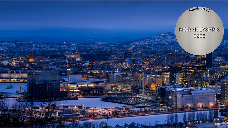 Picture1-sÃ¸lv-ring