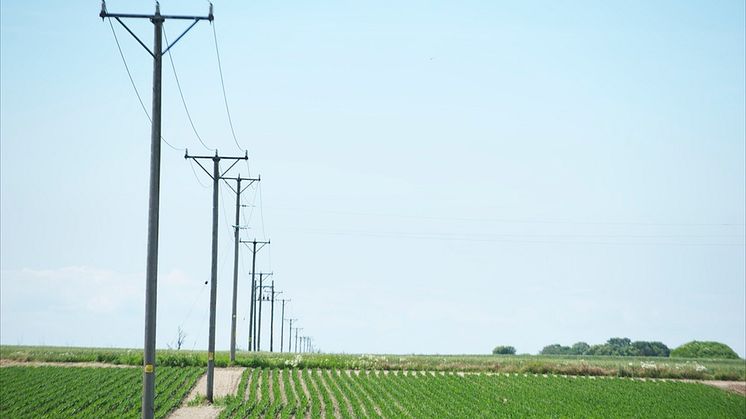 DSC_3780_prv.jpg