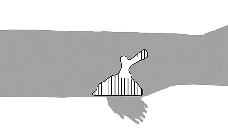 pm_ventastega_reconstruction