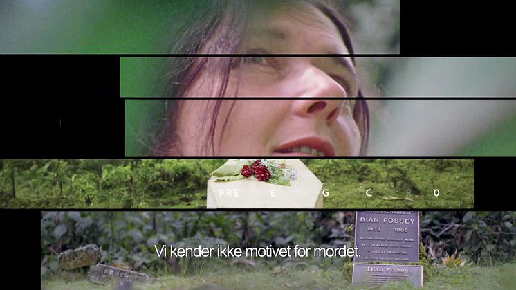 Dian Fossey: Mordgåde i disen