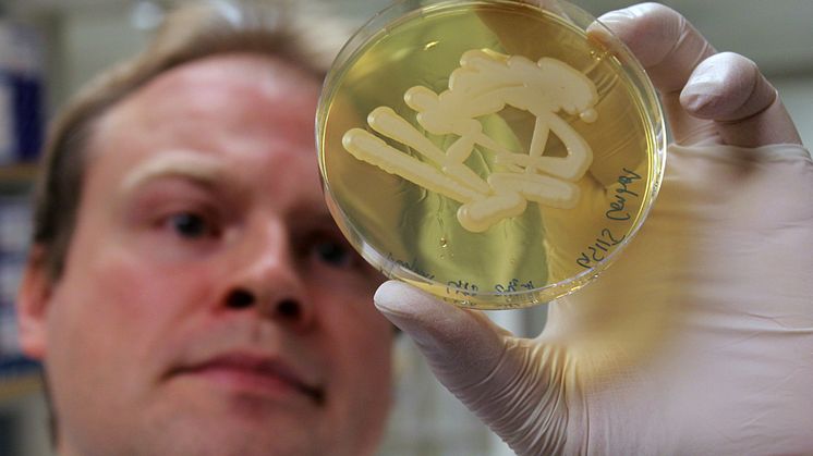 Jäst bakom effektivare vaccin som kan hjälpa de fattigaste länderna i världen
