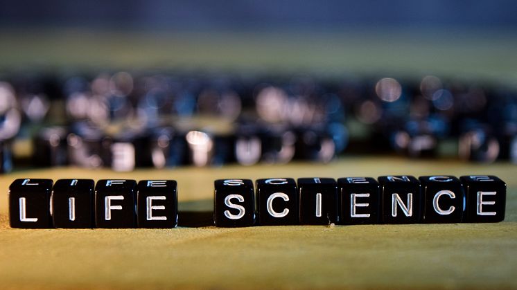 Dags för pressträff med lunch om Life Science vid Umeå universitet, i samarbete med Region Västerbotten och Umeå Biotech Incubator. Foto: Mostphoto.