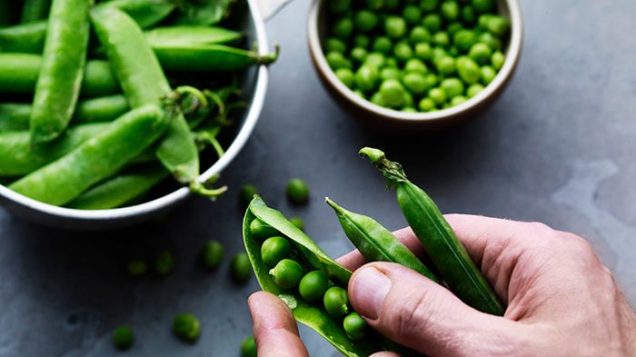 Findus unika söta Ebba-ärta är klimatcertifierad enligt Svenskt Sigill i och med att odlingen sker med minsta möjliga miljöpåverkan.