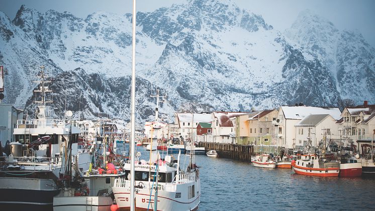 Der Hafen vom kleinen Fischerdorf Henningsvaer auf den nordnorwegischen Lofoten