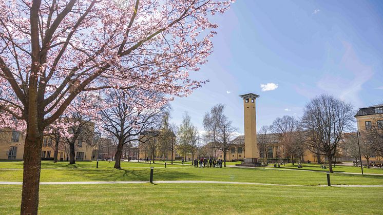 Campus maj 2023 1431