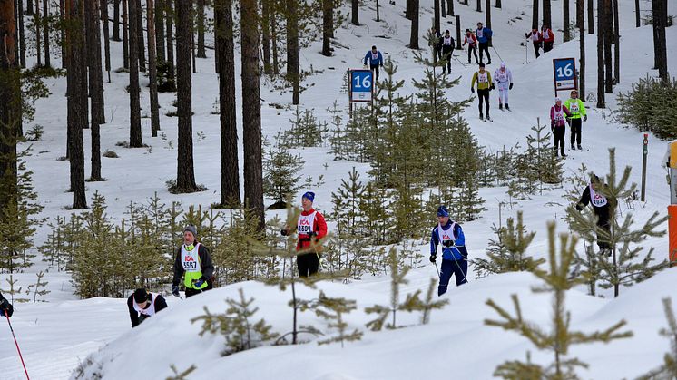  Vasaloppets vintervecka 2016 startade med Kortvasan 2016-02-26 