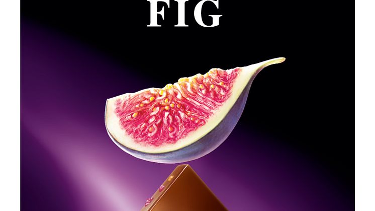 Excellance Fig
