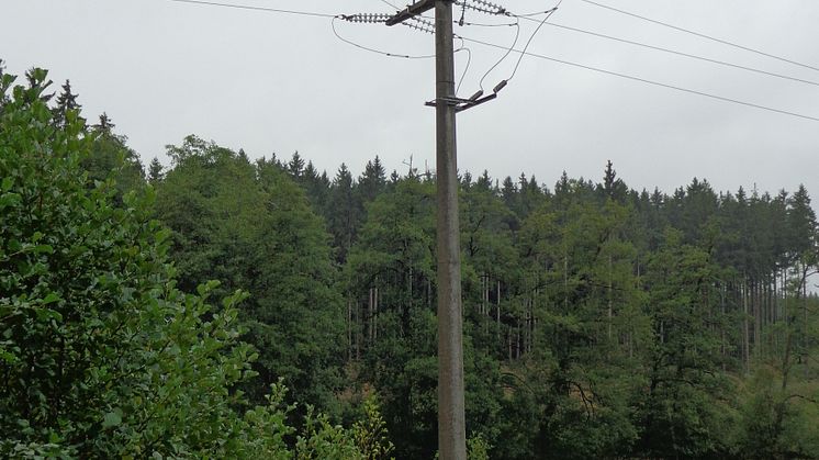 20230303_Abbau Freileitung Beblinstetten