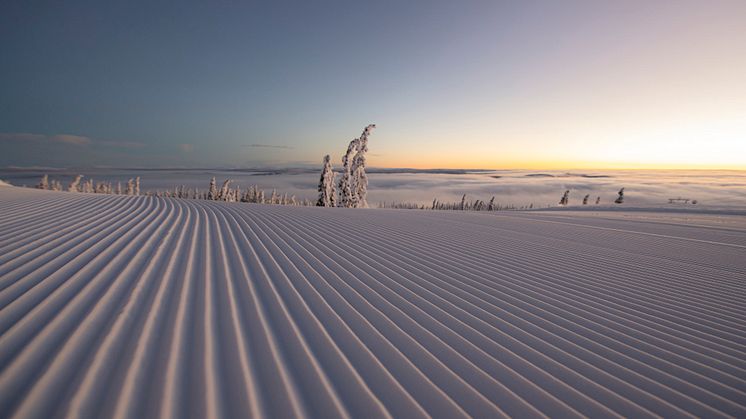 Oppheving og lettelser i korona restriksjoner: Dette gjelder hos SkiStar nå