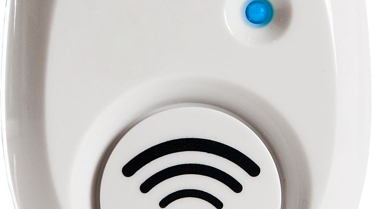25342_S30.jpg