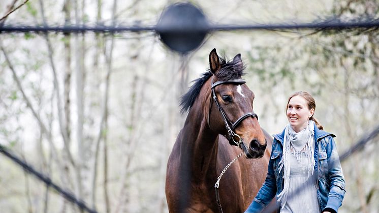 Foto: Scandinav Bildbyrå