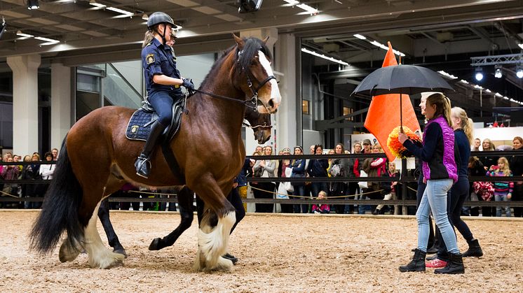 Polisrytteriet hade uppvisning på EuroHorse
