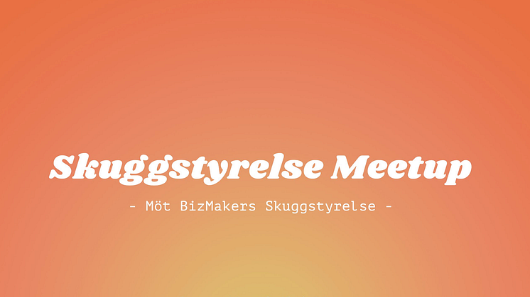 Skuggstyrelse Meetup - Möt BizMakers skuggstyrelse