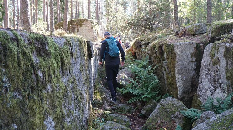Trollegater naturreservat