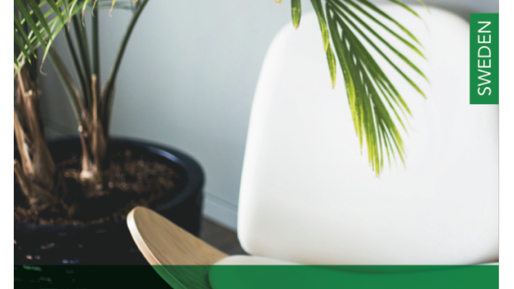 Officiell rapport Sustainable Brand Index 2019