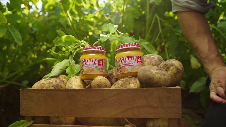 PILTTI regenerative header.png