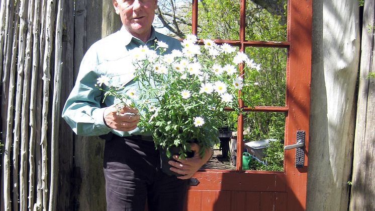 Håkan Bergsten, Sofieros slottsträdgårdsmästare i 25 år