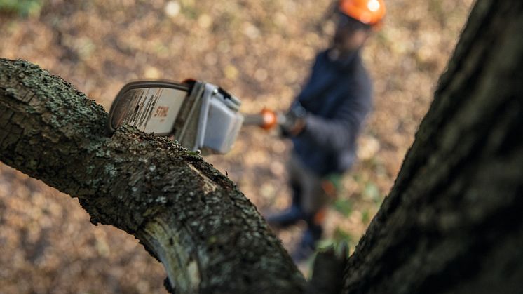 Tack vare ett särskilt teleskopskaft, tar den batteridrivna stamkvistare STIHL HTA 160 grenar på höga höjder från användarens markposition. Enhetens totala längd kan justeras mellan 285 och 405 centimeter utan verktyg.