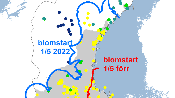 vit2022