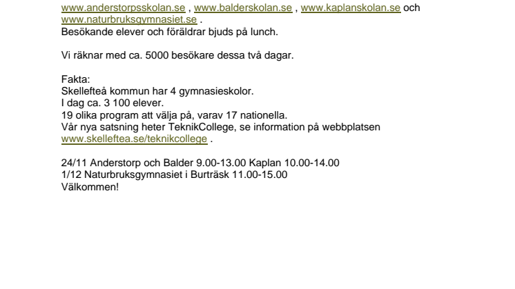 Viktigt val för ungdomarna
