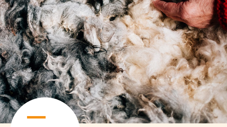 The Swedish Wool Standard