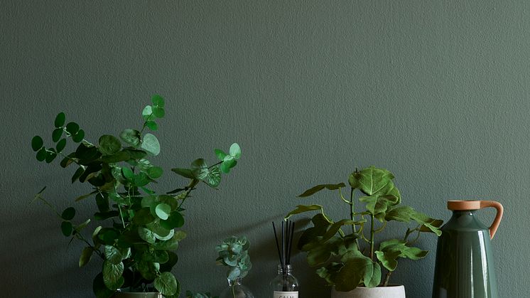 RUSTA_S3_2021_Veggmaling NYANS full matt edition - Estate Green