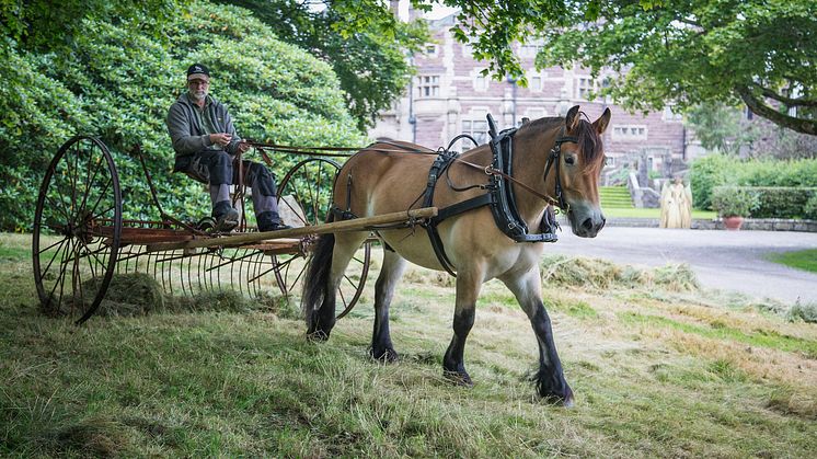 Molly och Valle skapar mångfald på slottet