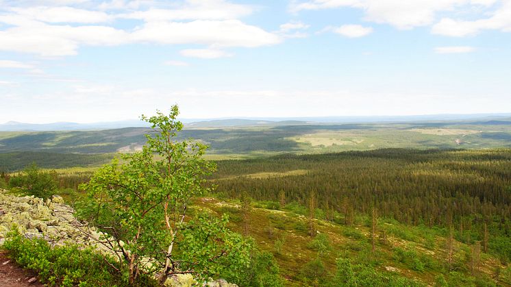 Pressinbjudan: Forskarseminarium Fulufjället 2015
