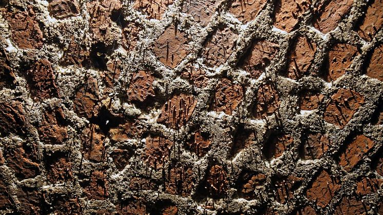 Die Gewölbedecke der Kasematten der früheren Pleißenburg
