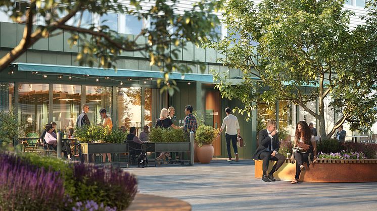 Umami Torg