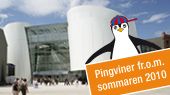 Pingviner OZEANEUM Stralsund 