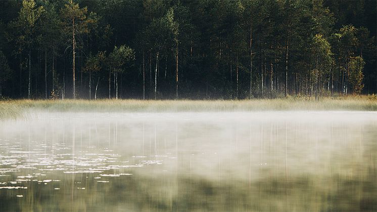 Miljöbedömningsmodell för läkemedel kan styra mot grönare alternativ
