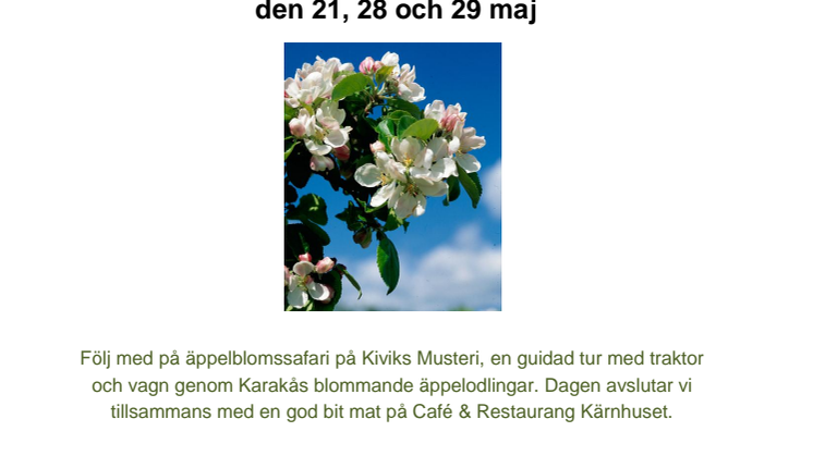 Äppelblomssafari på Kiviks Musteri