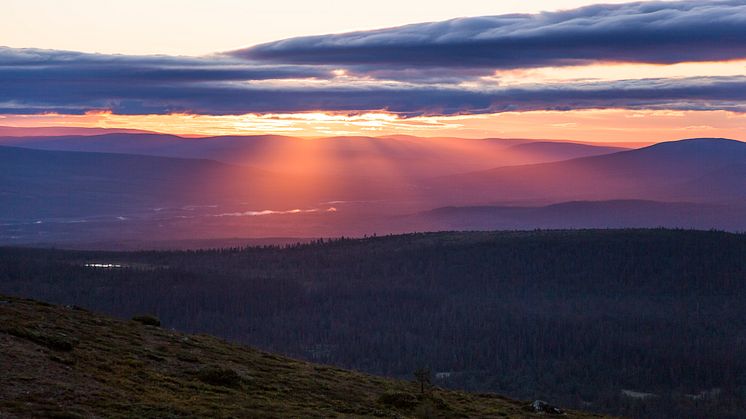 Sommar i Lofsdalen