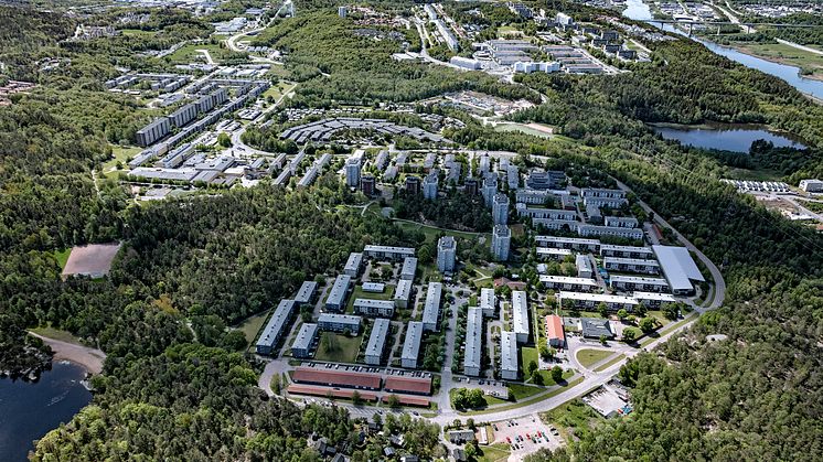Boende i Lövgärdet tryggare än på många år